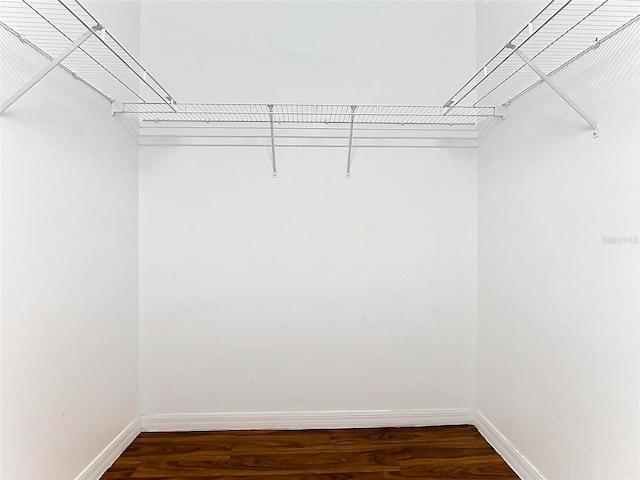 walk in closet featuring dark hardwood / wood-style floors