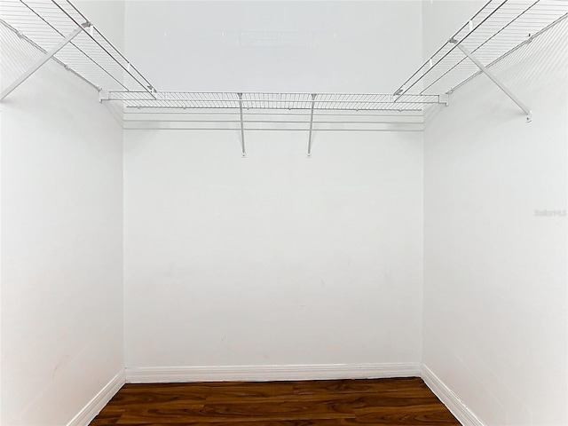 3623 Weatherfield Dr, Kissimmee, FL 34746 - walk in closet with wood finished floors