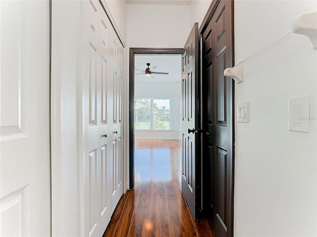 hall featuring dark hardwood / wood-style floors