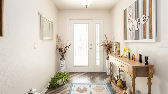 entryway with dark hardwood / wood-style flooring and a wealth of natural light