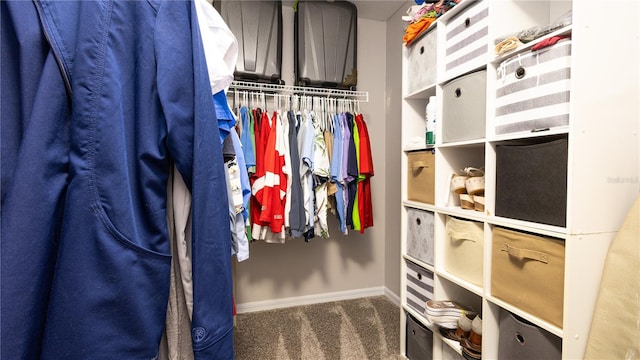 spacious closet featuring carpet floors