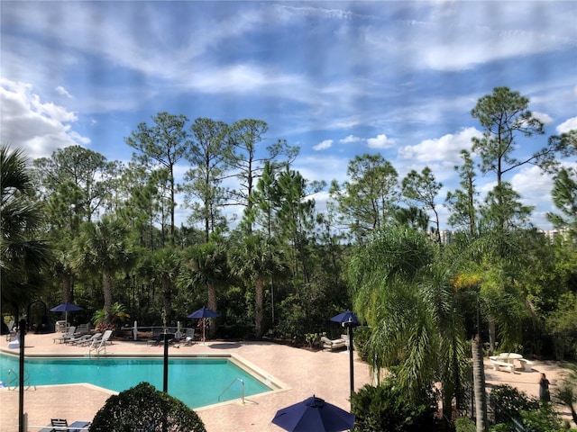 view of pool with a patio