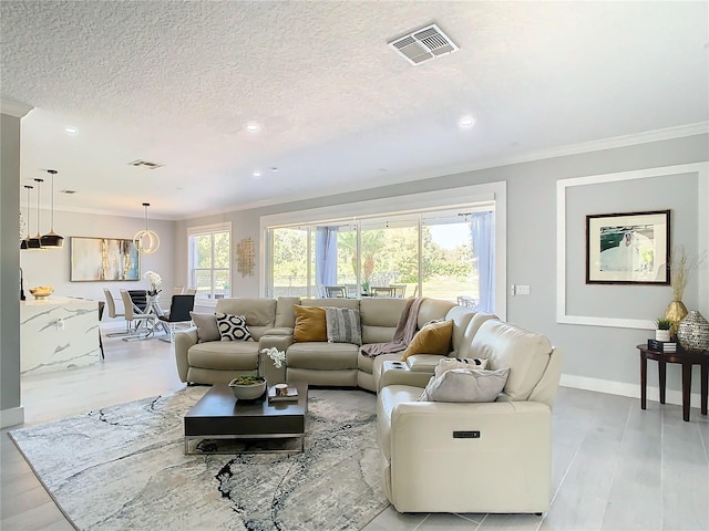 living room featuring ornamental molding, light hardwood / wood-style floors, and a textured ceiling