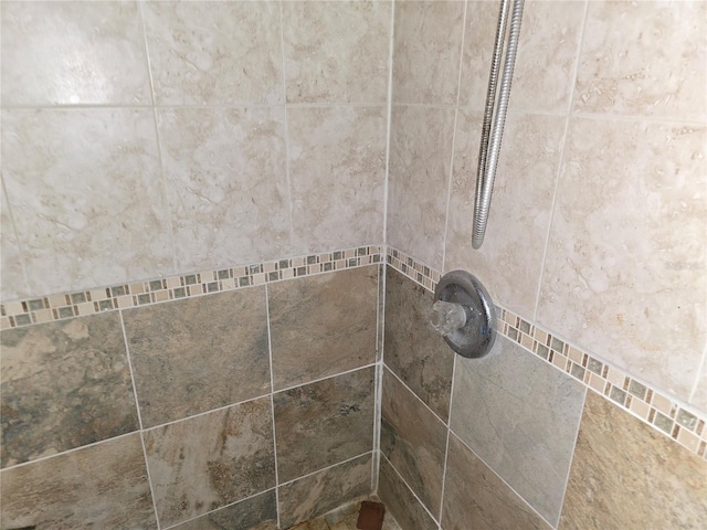 interior details with tiled shower