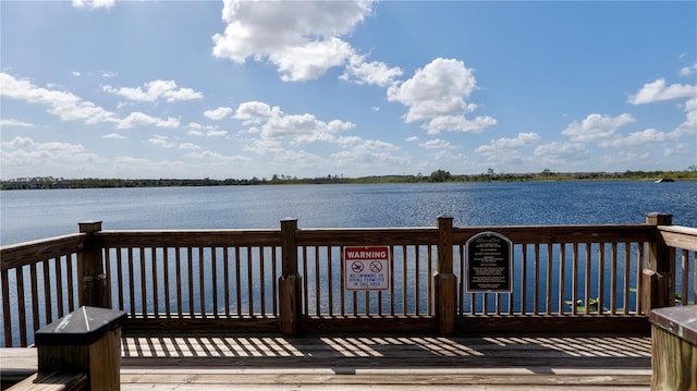 dock area with a water view