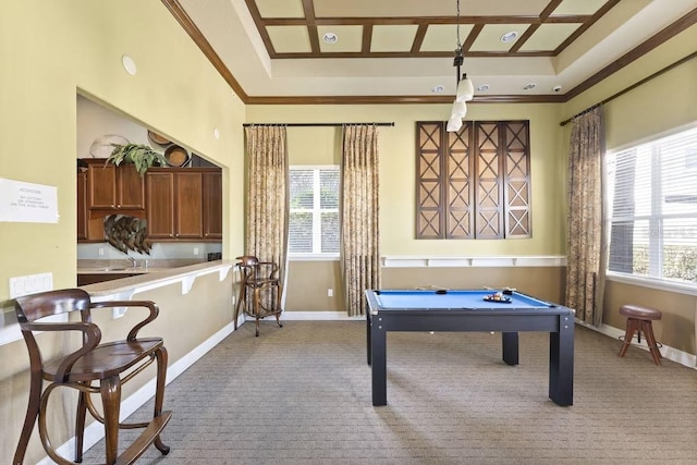 rec room with ornamental molding, light carpet, and plenty of natural light