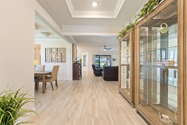 hallway featuring light hardwood / wood-style flooring and crown molding