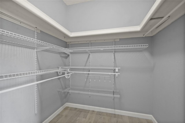 spacious closet with hardwood / wood-style flooring