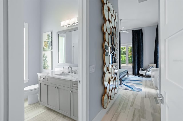 bathroom featuring vanity, toilet, and wood-type flooring