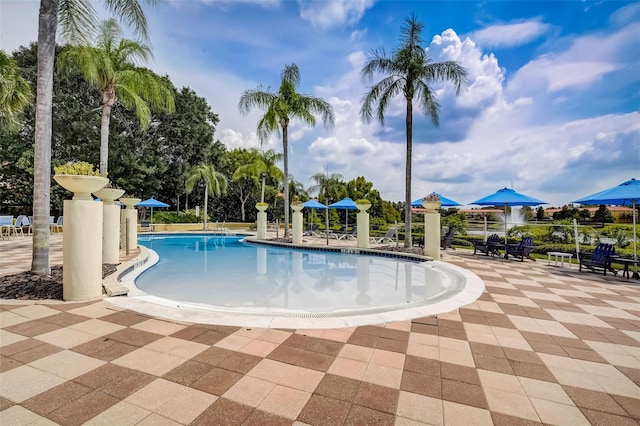 view of swimming pool with a patio