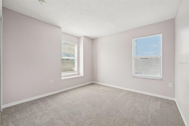 unfurnished room featuring a wealth of natural light, a textured ceiling, and carpet flooring