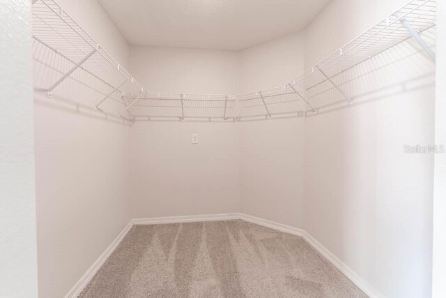 207 Goldenrod Ln, Kissimmee, FL 34759 - spacious closet with carpet flooring