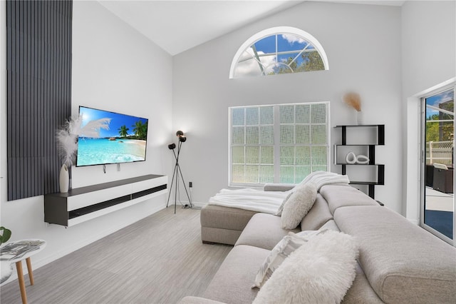 living room featuring high vaulted ceiling