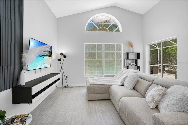 living room featuring high vaulted ceiling and wood-type flooring