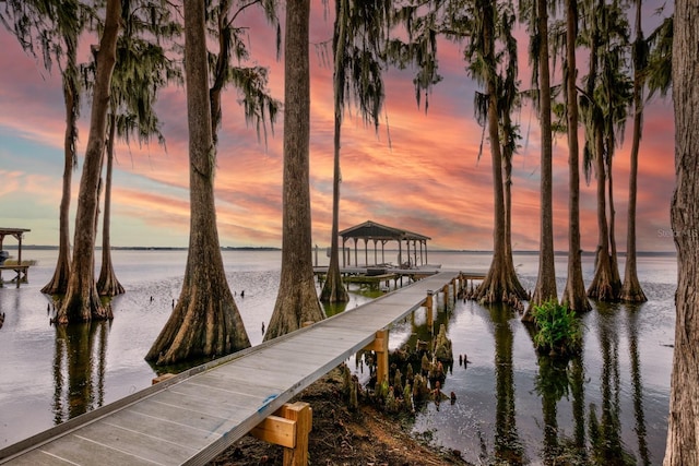 dock area with a water view