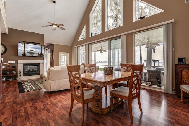 dining space featuring high vaulted ceiling and dark wood-type flooring