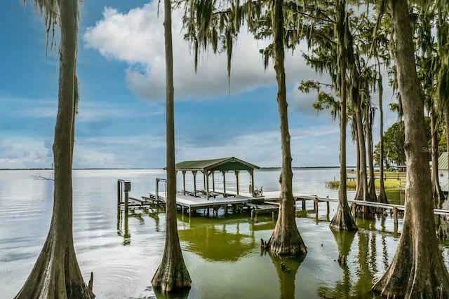 dock area with a water view