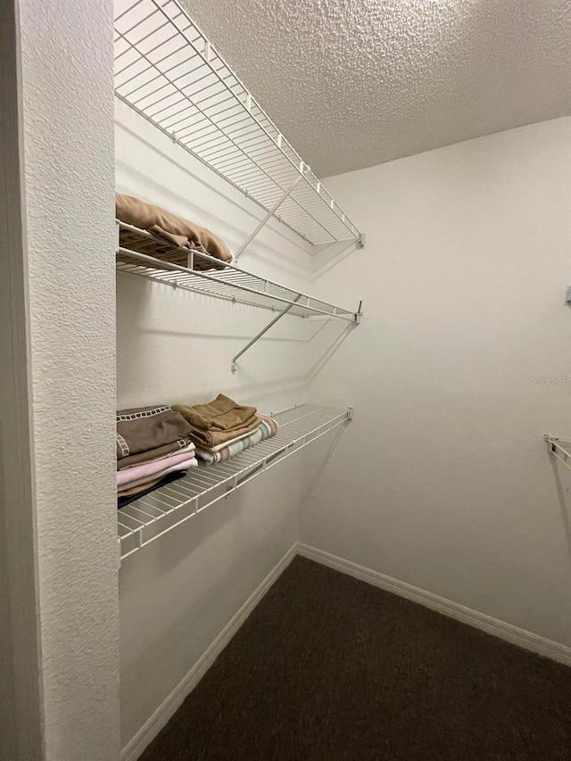 spacious closet with carpet