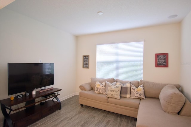 living room with hardwood / wood-style floors