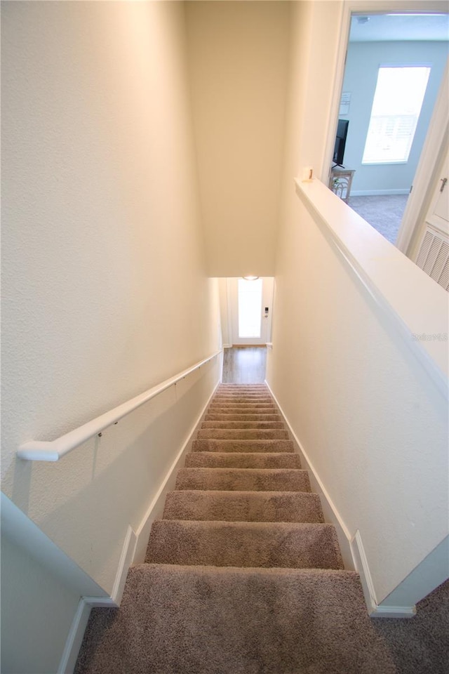 staircase featuring carpet