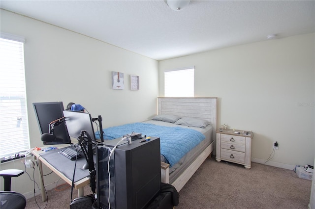 bedroom featuring carpet