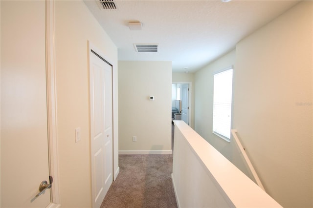 hallway with carpet floors