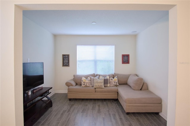 living room with wood-type flooring