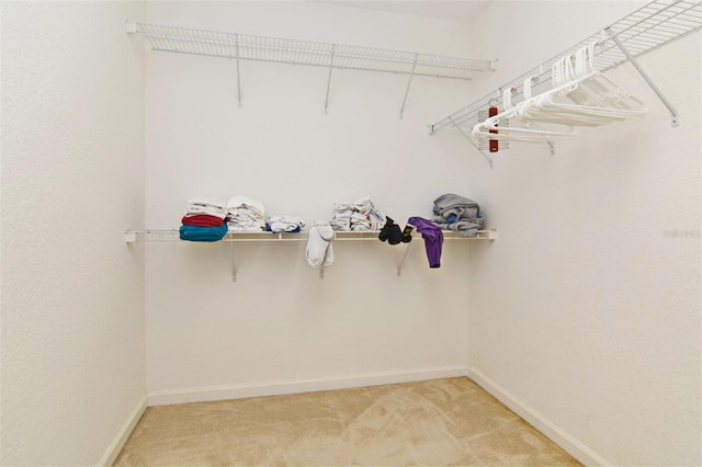 walk in closet with carpet flooring