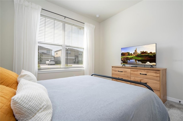 bedroom with carpet floors