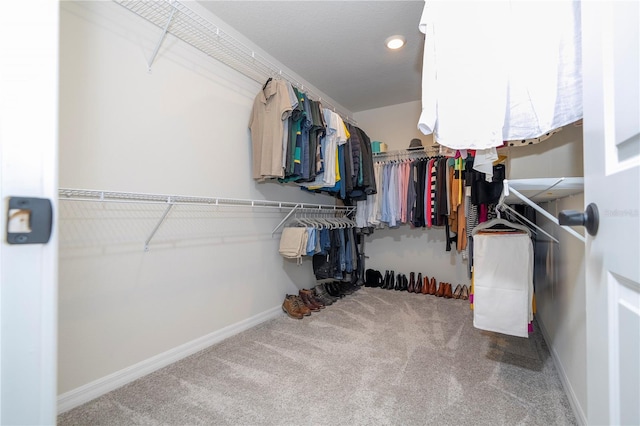 spacious closet featuring carpet flooring