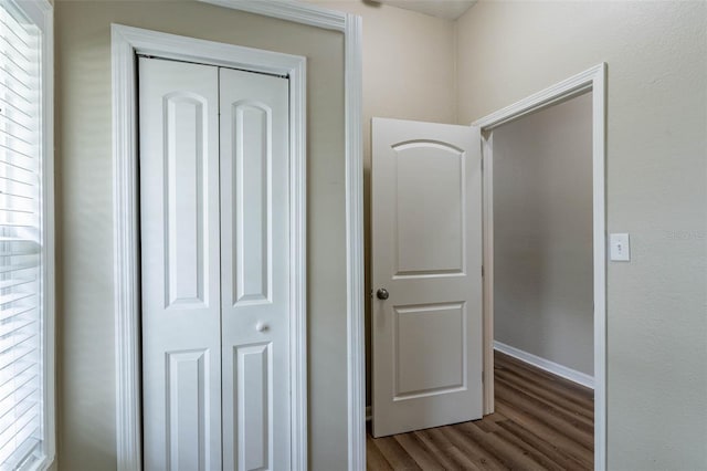 hallway featuring hardwood / wood-style flooring