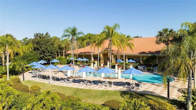 view of swimming pool featuring a yard and a patio area