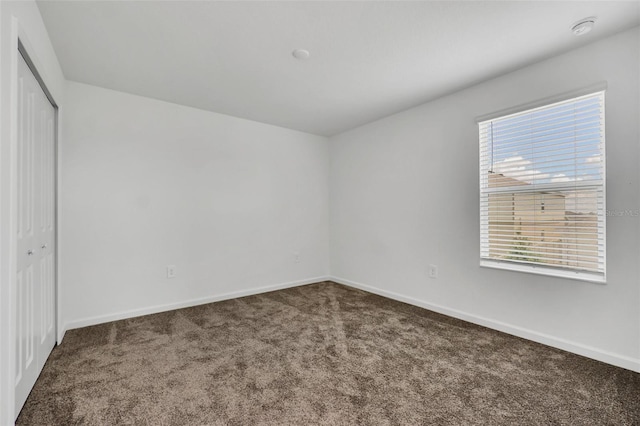 interior space with carpet and a closet