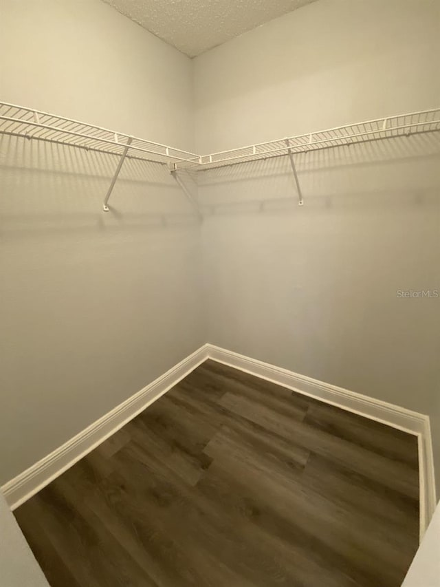 spacious closet with hardwood / wood-style floors