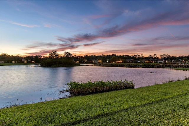 property view of water