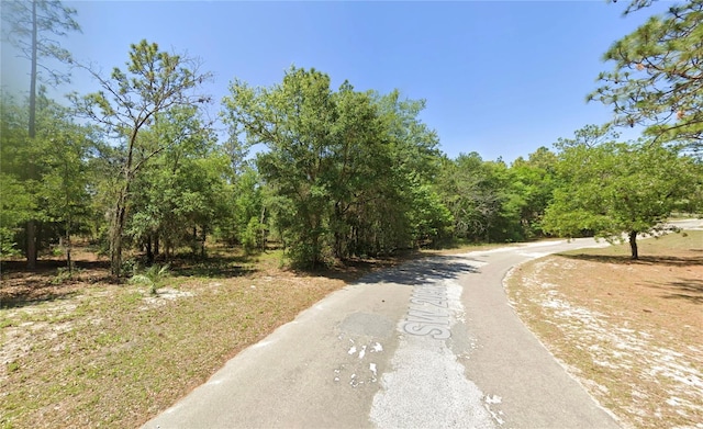 8965 SW 209th Cir, Dunnellon, FL 34431