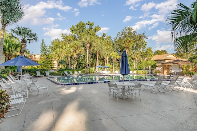 view of swimming pool with a patio