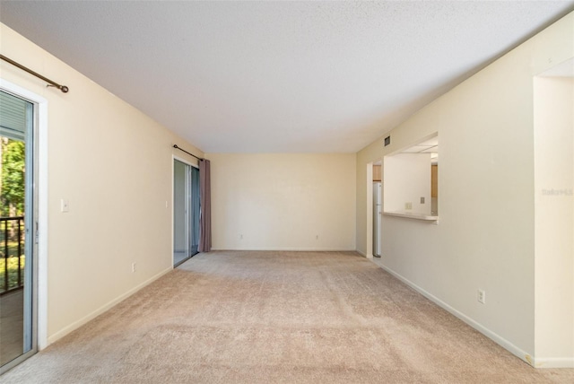 spare room featuring light colored carpet