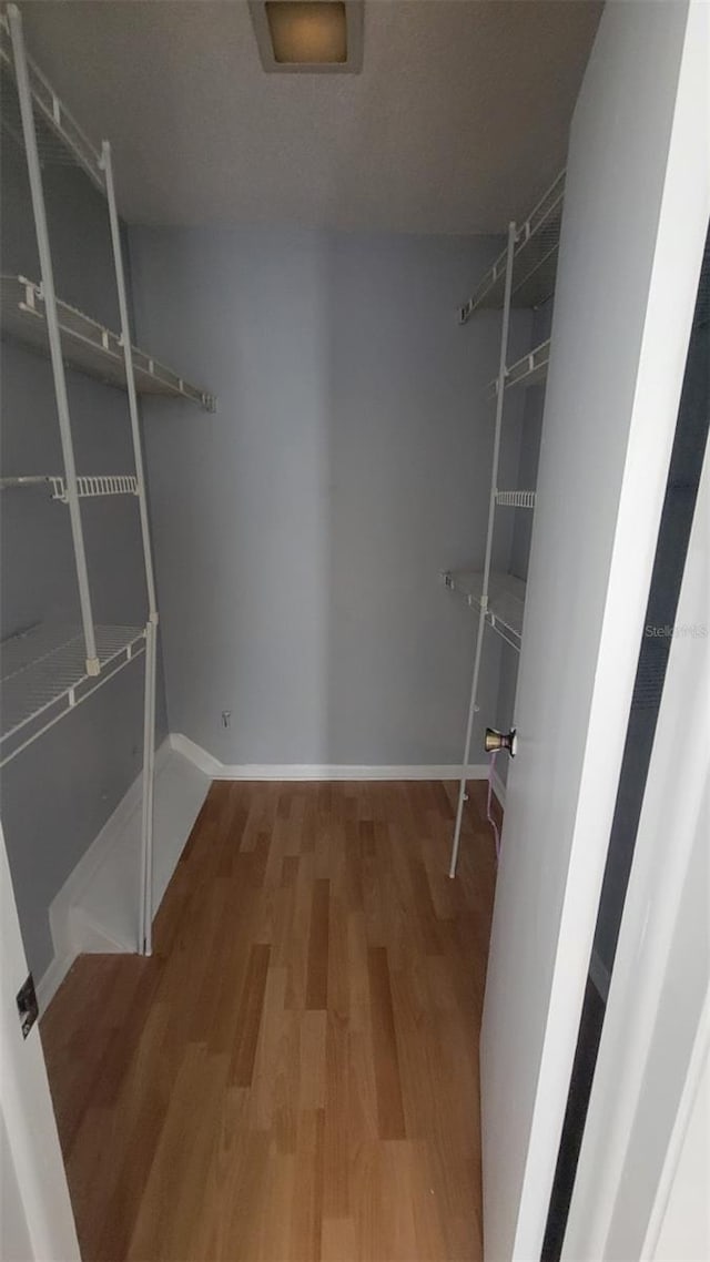 walk in closet with hardwood / wood-style floors