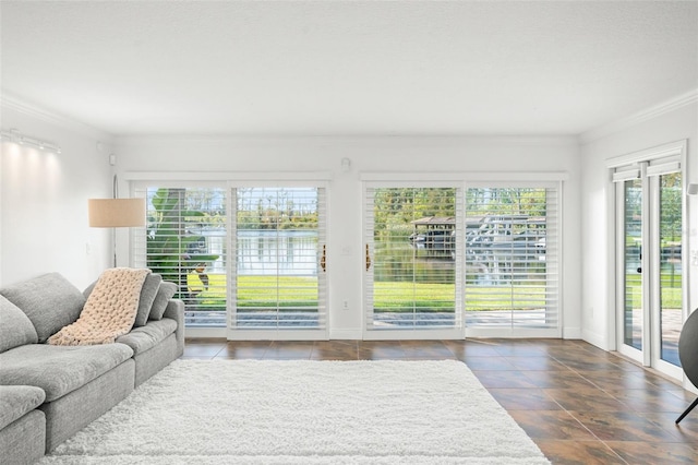 8984 Houston Pl Unit 103, Orlando, FL 32819 - living room featuring ornamental molding, a water view, and dark tile patterned floors