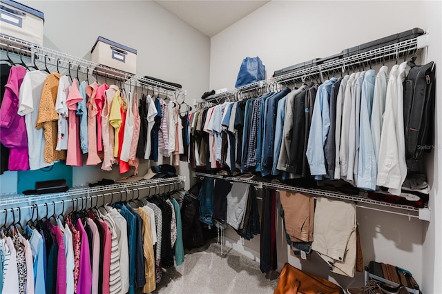 walk in closet with carpet flooring