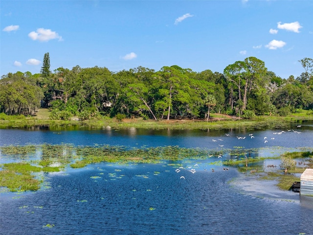 water view