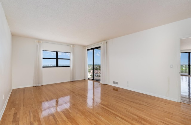 empty room with light hardwood / wood-style floors, a textured ceiling, and plenty of natural light