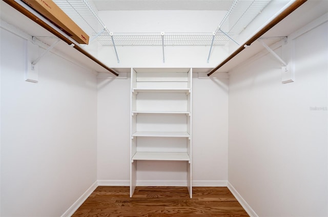 walk in closet with hardwood / wood-style floors