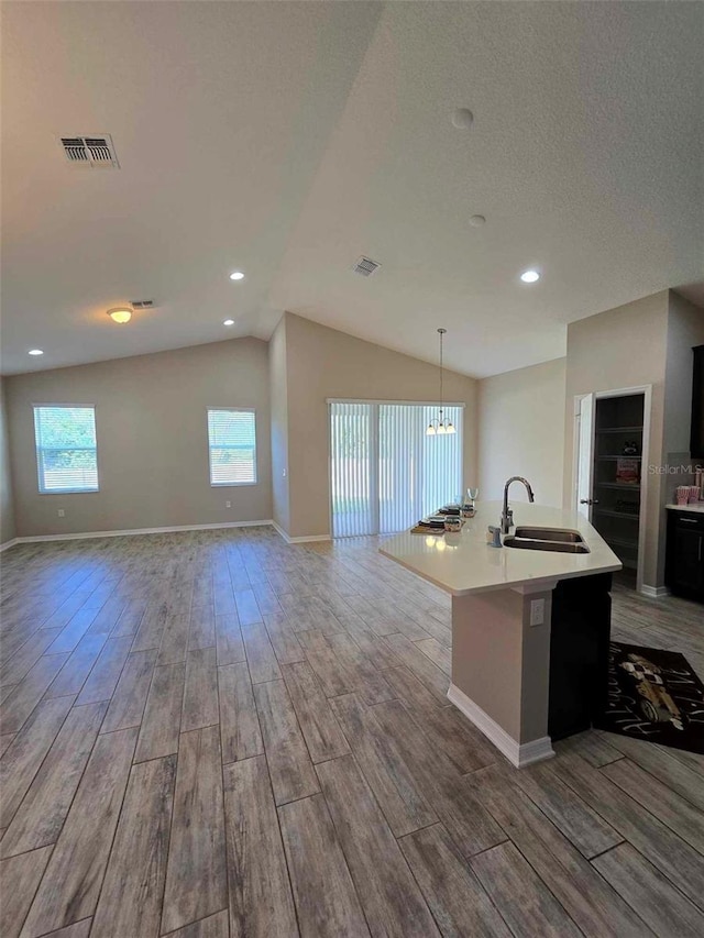 kitchen with a center island with sink, light hardwood / wood-style flooring, a wealth of natural light, and sink