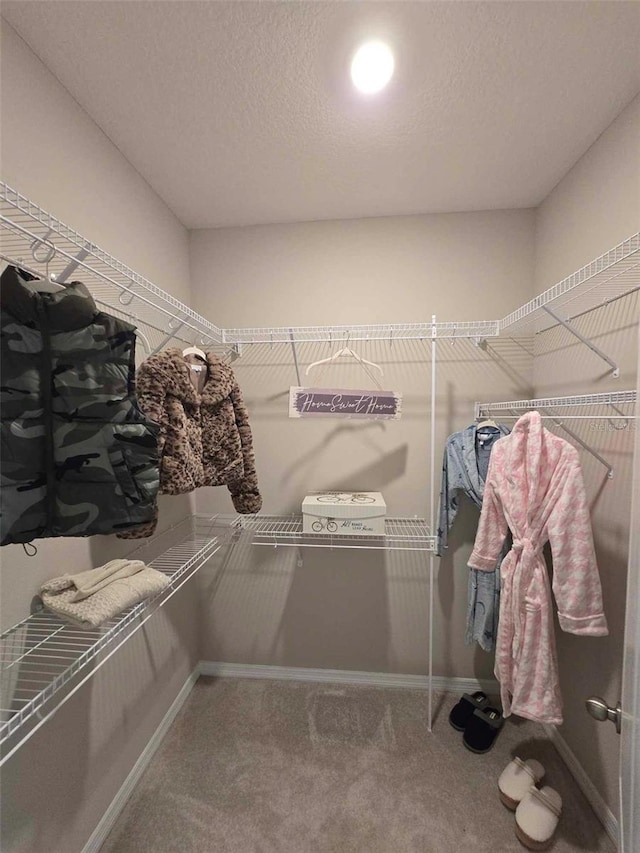 walk in closet featuring carpet floors