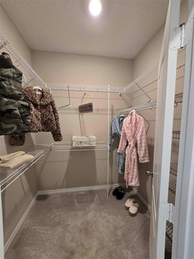 spacious closet with carpet floors