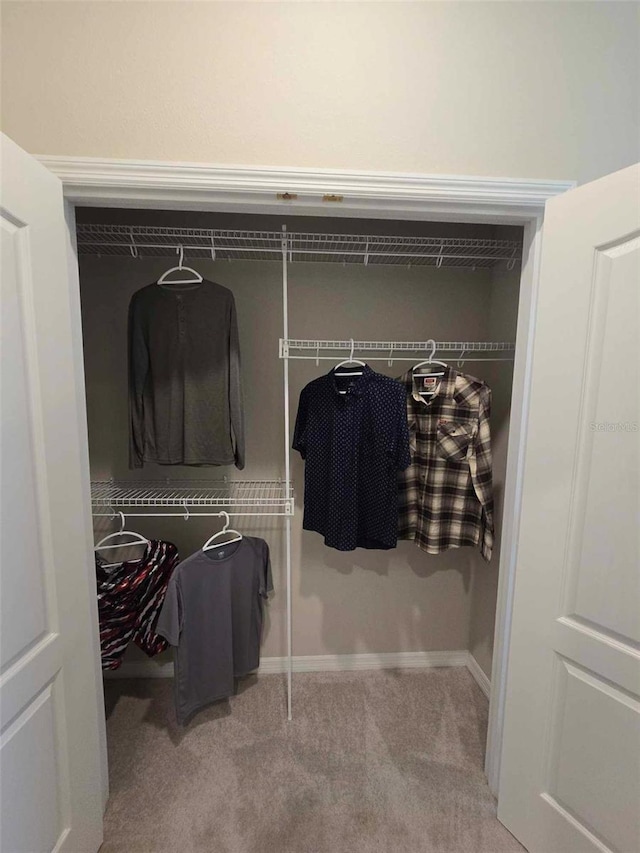 view of closet