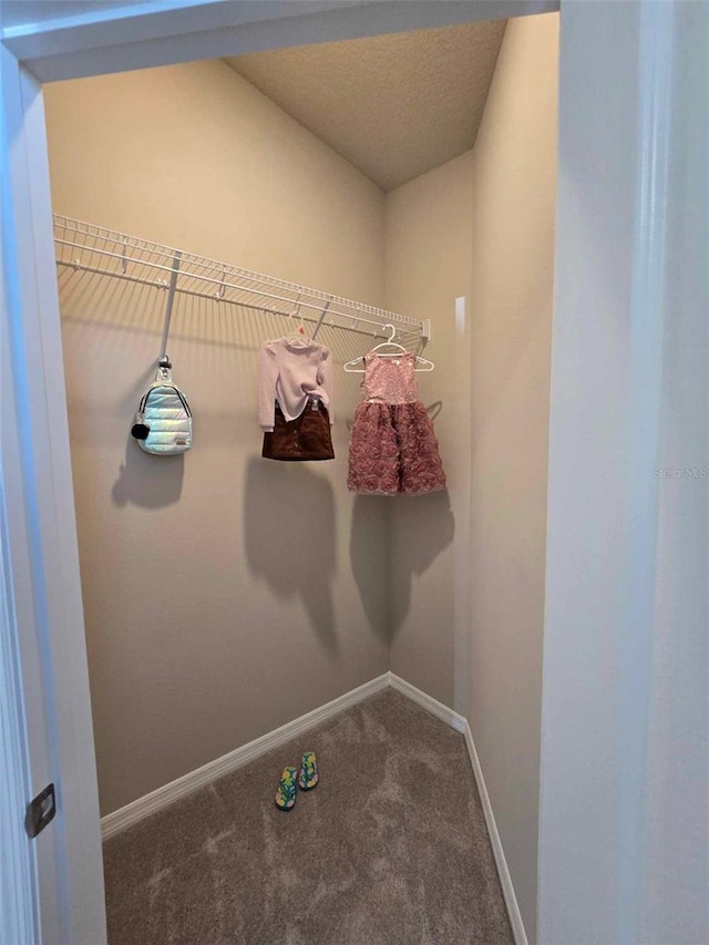 spacious closet with carpet