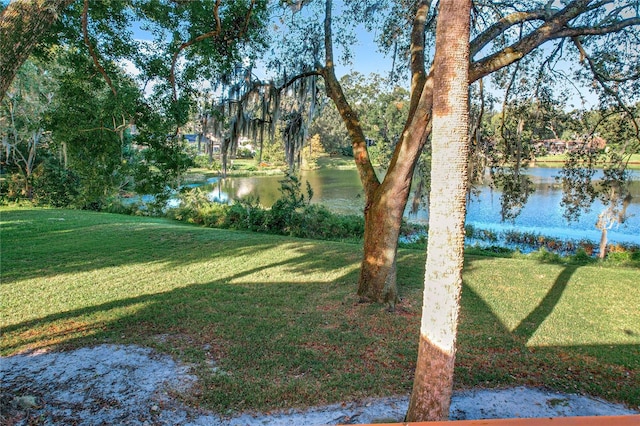 view of yard featuring a water view